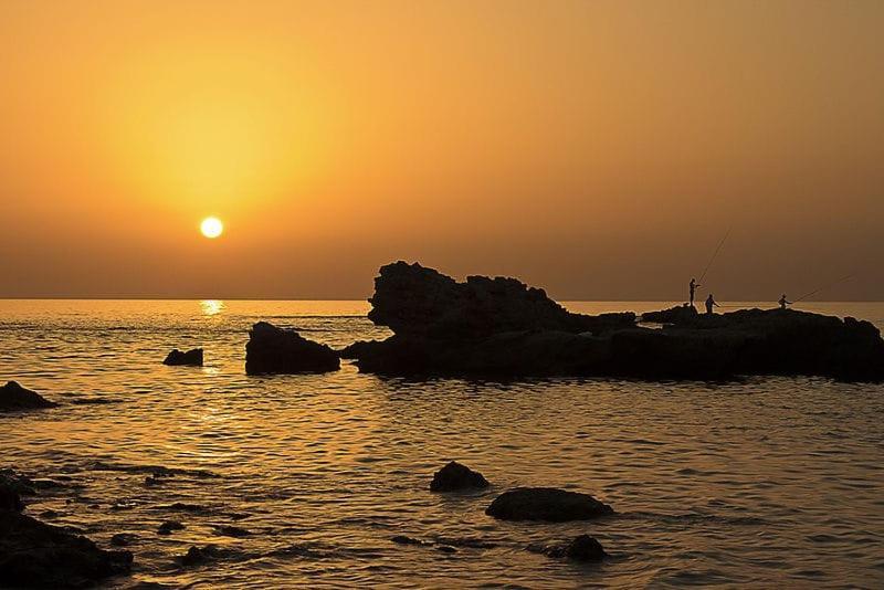 قيسارية Suite Paradise - D111 المظهر الخارجي الصورة